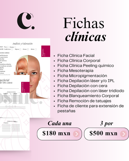 Diseño de papelería y contenido para redes sociales